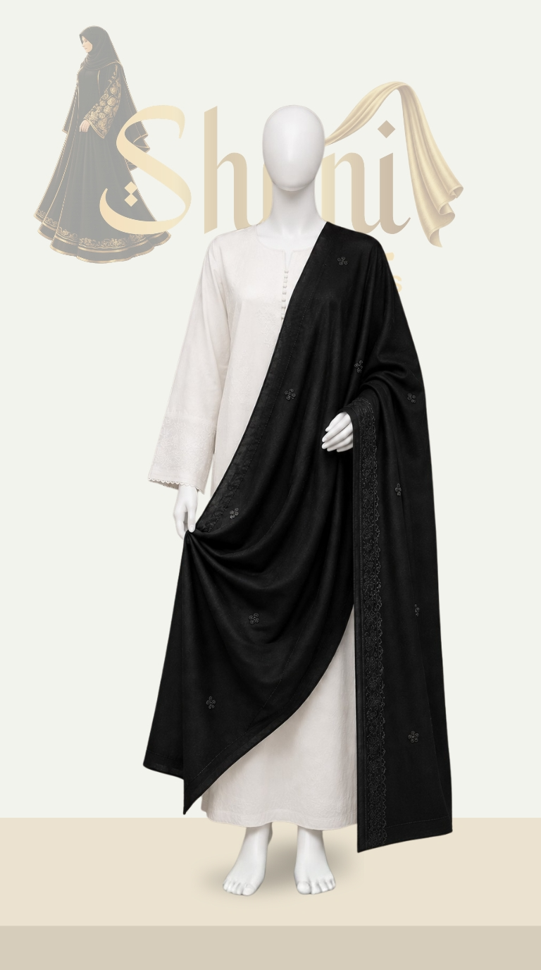 Shani (8) image